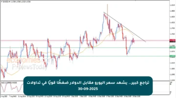 تراجع كبير.. يشهد سعر اليورو مقابل الدولار ضغطًا قويًا في تداولات 30-09-2025